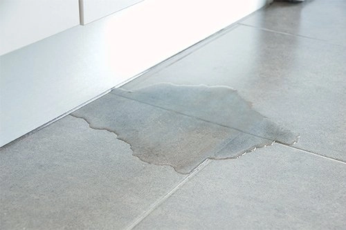 Tips To Prevent Water Damage from Leaking Appliances