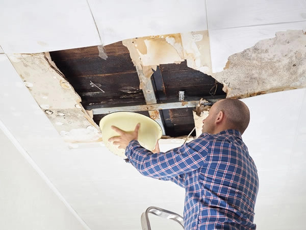 The Basics of Water Damage Restoration