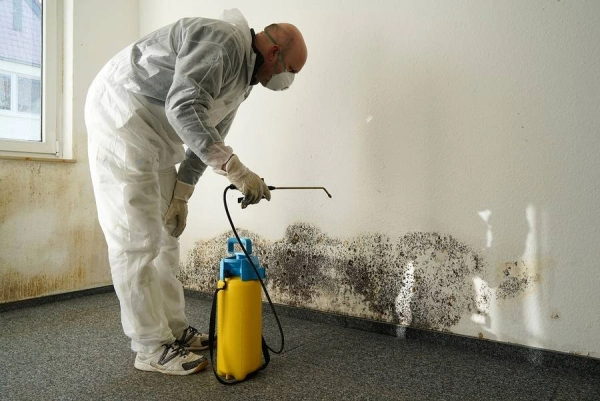 How Long Does Mold Remediation Take?