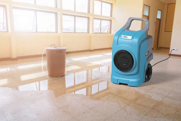 Water Damage Prevention Tips
