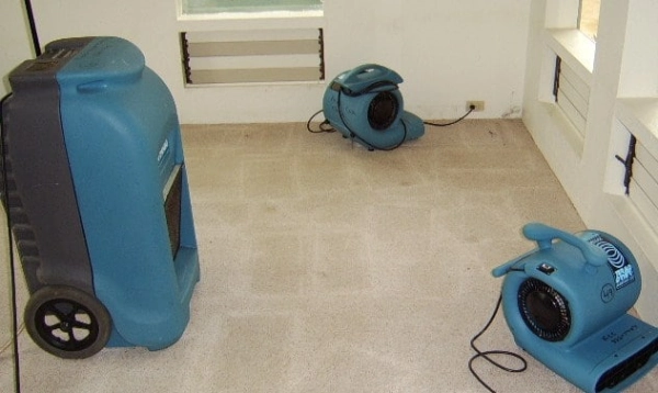 The Costly Consequences of Ignoring Water Damage