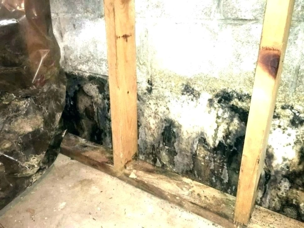 What You Need to Know About Basement Water Damage