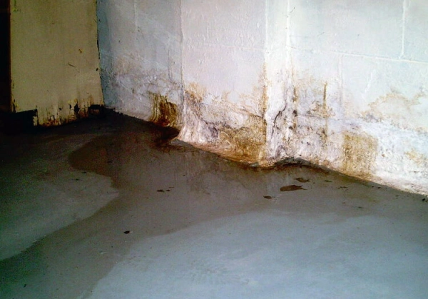 How to Deal with The Water Damage in The Basement