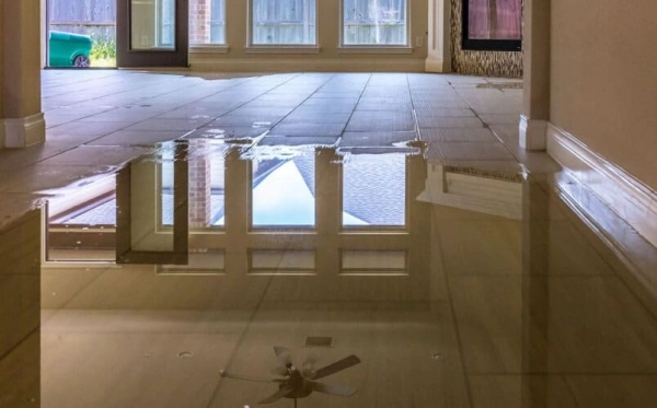What to Do After Water Damage