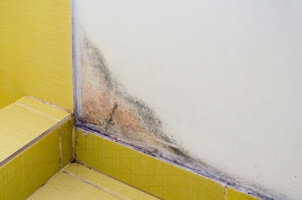 How Does Black Mold Affect Your Four-Legged Family Members?