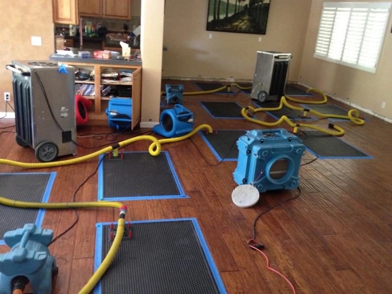 Reliable Restoration Services in Brookhaven, GA