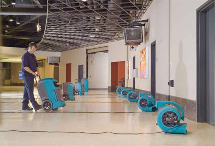 Sewage Damage Restoration
